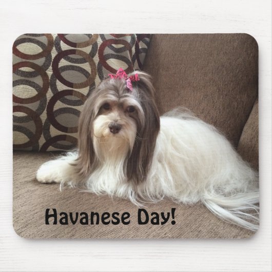 Havaneseの愛犬家のためのマウスパッド: Havanese日! マウスパッド (正面)