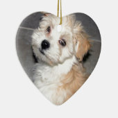 Havaneseの救助の子犬の日焼けの白 セラミックオーナメント (右)