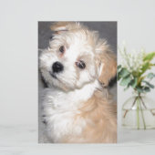 Havaneseの救助の子犬の日焼けの白 便箋 (スタンド正面)