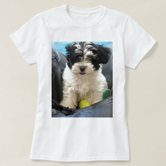 Havaneseの救助の子犬の白黒 Tシャツ (デザイン正面)