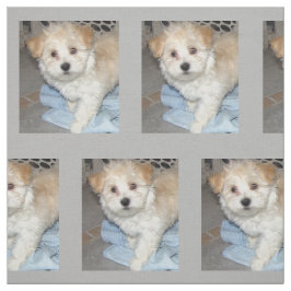 Havaneseの救助Puppt ファブリック