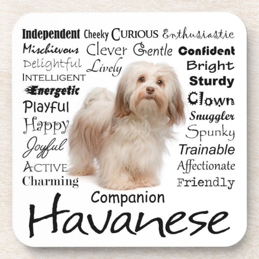 Havaneseの特性のコースター コースター (正面)