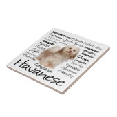 Havaneseの特性のセラミックタイル タイル (側面)