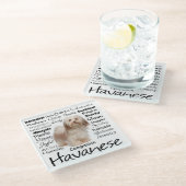 Havaneseの特性ガラスのコースター ガラスコースター (アングル)