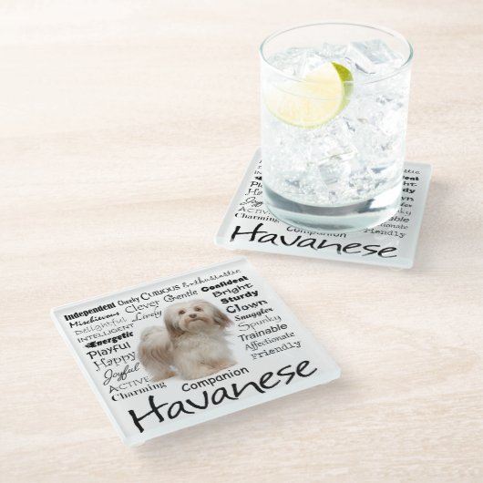 Havaneseの特性ガラスのコースター ガラスコースター (アングル)