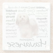 Havaneseの特性ガラスのコースター ガラスコースター (裏面)