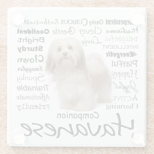 Havaneseの特性ガラスのコースター ガラスコースター (裏面)