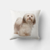 Havaneseの私の枕を愛して下さい クッション (裏面)