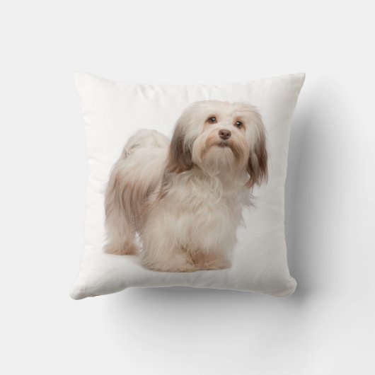 Havaneseの私の枕を愛して下さい クッション (裏面)