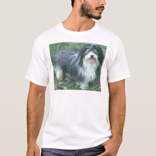 havanese完全 tシャツ (正面)
