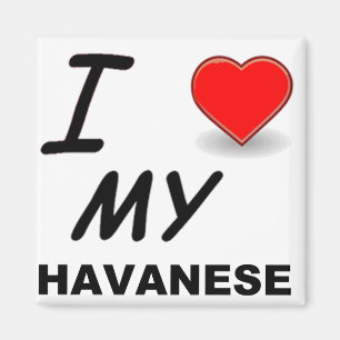 havanese愛 マグネット