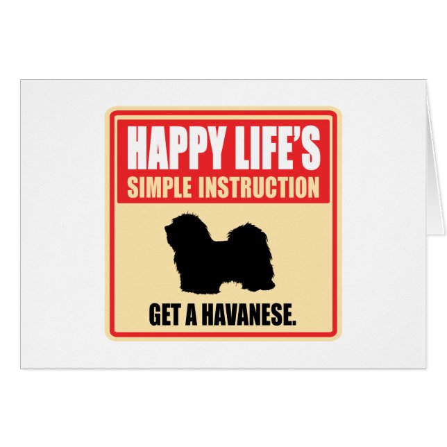 Havanese (正面横)