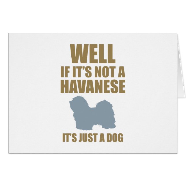 Havanese (正面横)