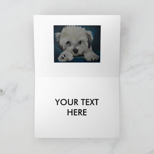 Havanese カード (内部)