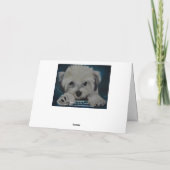 Havanese カード (裏面)