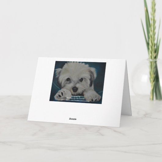 Havanese カード (裏面)