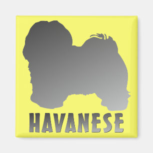 Havanese マグネット