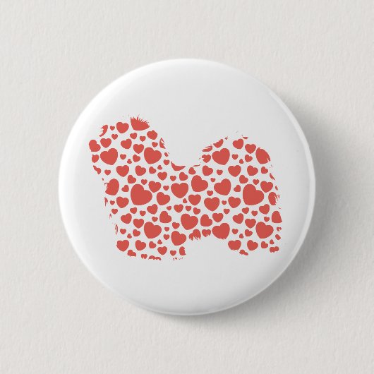 Havanese 缶バッジ (正面)