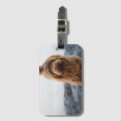 Havanese dog, Animal, Canine ラゲッジタグ (正面縦)