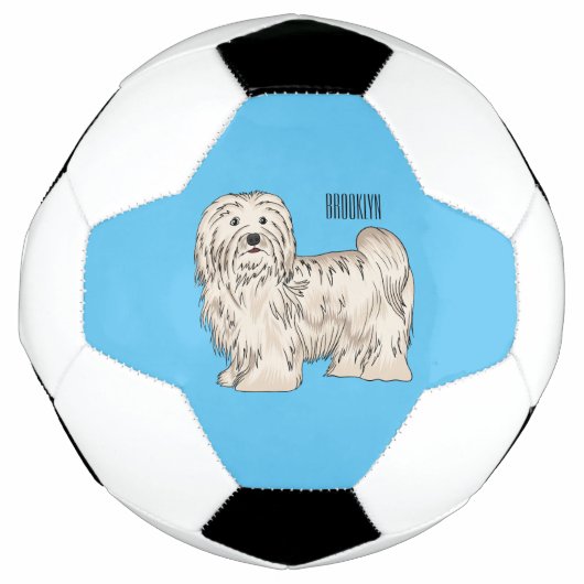 Havanese dog cartoon illustration サッカーボール (正面)