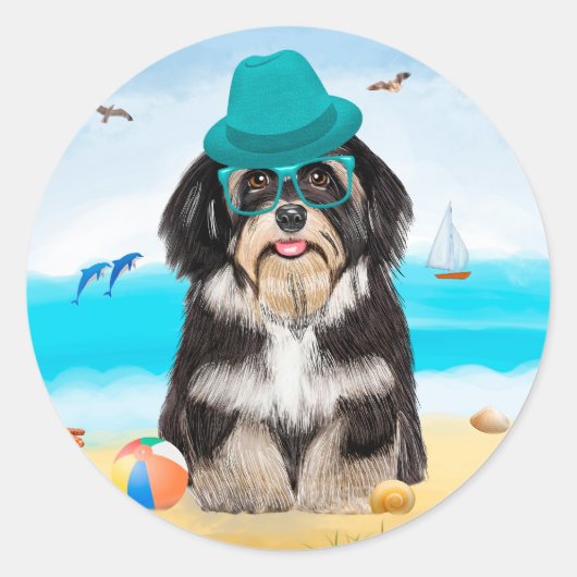 Havanese Dog on Beach ラウンドシール (正面)