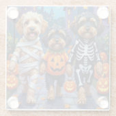 Havanese Dogs Trick-or-Treating Halloween Costumes ガラスコースター (裏面)