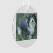 havanese full.png オーナメント (正面)