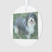 havanese full.png オーナメント (正面)