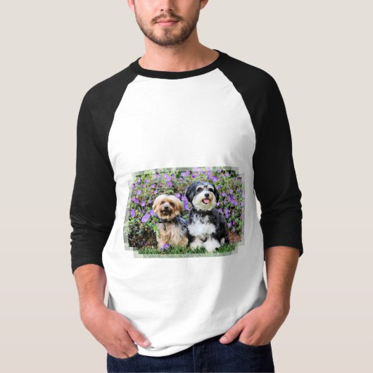 Havanese - Lola及びヨークシャーテリア-モーリー Tシャツ (正面)