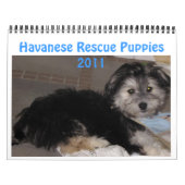 Havanese Rescuの子犬2011年 カレンダー (カバー)