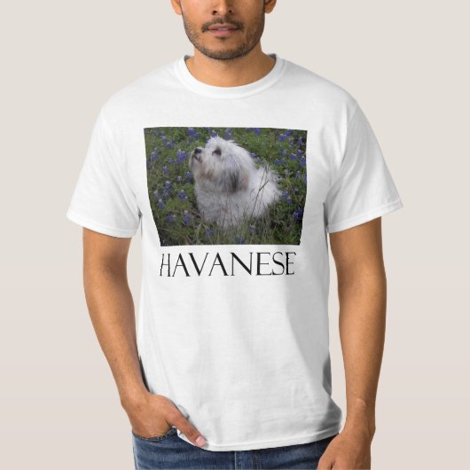 HAVANESE Tシャツ (正面)