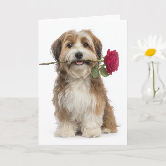 Havanese Valentine – Gentle Love & Devotion カード (小さな植物)