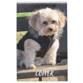 Havapookieのカレンダーを銅張りにして下さい カレンダー (カバー)