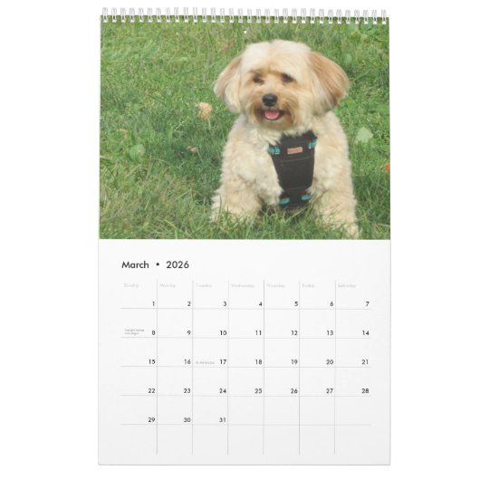 Havapookieのカレンダーを銅張りにして下さい カレンダー (3月 2026)