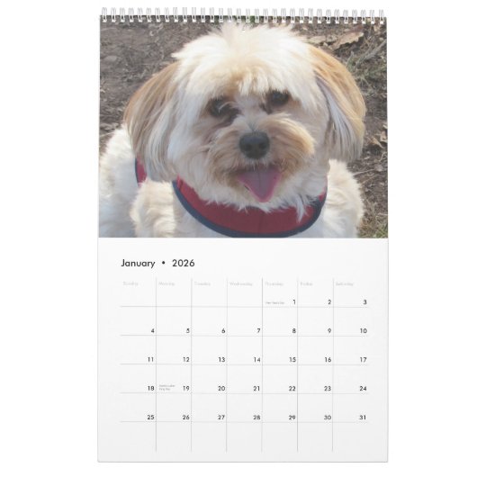 Havapookieのカレンダーを銅張りにして下さい カレンダー (1月 2026)