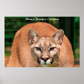 Have a Purrrfect Christmas ポスター (正面)