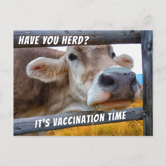 Have You Herdワクチン接種の獣医学リマインダーポスト ポストカード (正面)