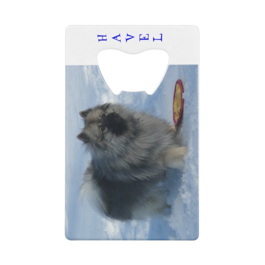 Havelに"あります私の1つが!" クレジットカードの栓抜き クレジットカード栓抜き (正面)