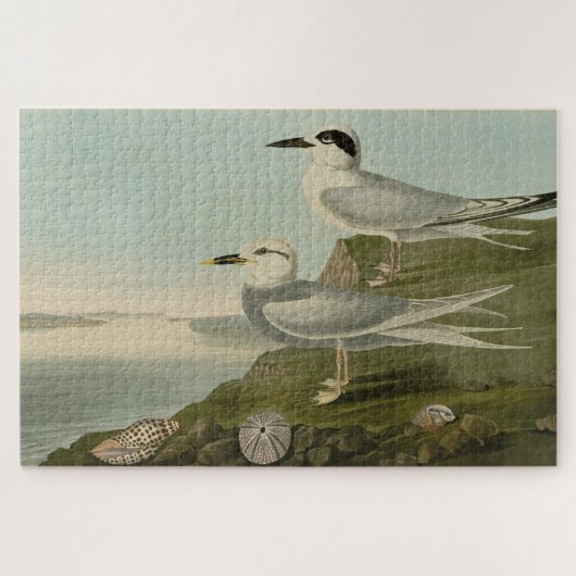 Havell's & Trudeau's Tern Audubon Birds of America ジグソーパズル (横)