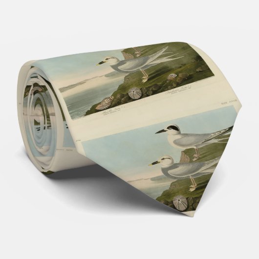 Havell's & Trudeau's Tern Audubon Birds of America ネクタイ (ロール)