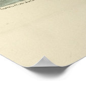 Havell's & Trudeau's Tern Audubon Birds of America ポスター (角)