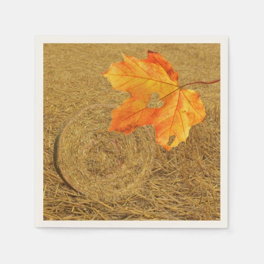 Havest of Love Paper Napkin スタンダードカクテルナプキン (正面)