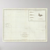 Hawaii ポスター (正面)