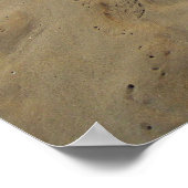 Hawaii Aloha ポスター (角)