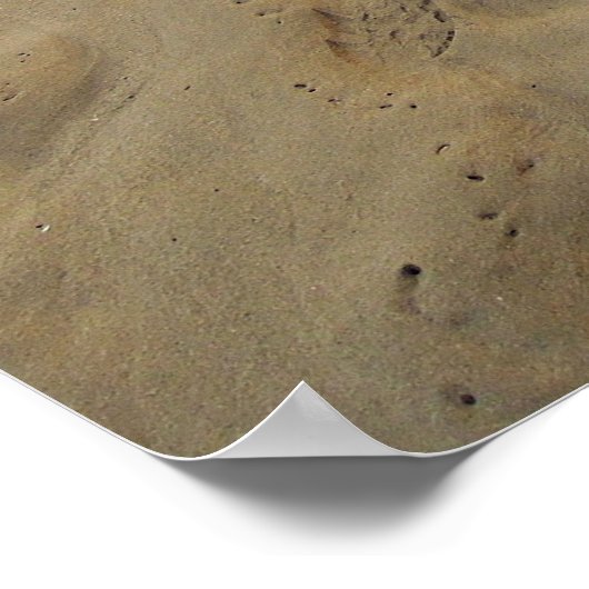 Hawaii Aloha ポスター (角)