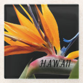 Hawaii Bird of Paradise Plant Flower ガラスコースター (正面)