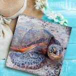 Hawaii Honu Sea Turtle写真スタイリッシュ カラフル ジグソーパズル<br><div class="desc">ウミガメは確かに太陽リラックスの中での方法を知っている。ハワイアン諸島の暖かい風に戻るあなたがこの美しい、カラフル本海のウミガメの写真ジグソーのパズルを閉じて作業する時間を過ごす素晴らし度。特別な素晴らし人に贈り物を！来特別なギフト箱でこのジグソーパズルは簡単にパーソナライズできる。質問や要望があれば私に連絡して下さい。</div>