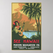 Hawaii Posterを参照 ポスター (正面)