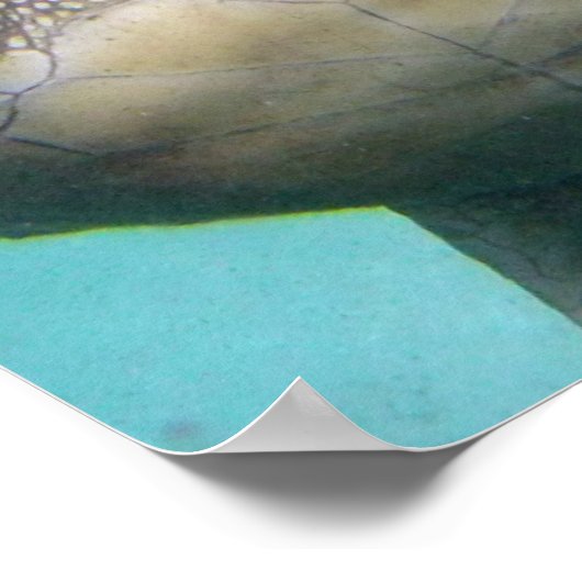 Hawaii Sea Turtle ポスター (角)