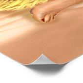 Hawaii Travel Poster Sea Eagle Angourie Grass ポスター (角)